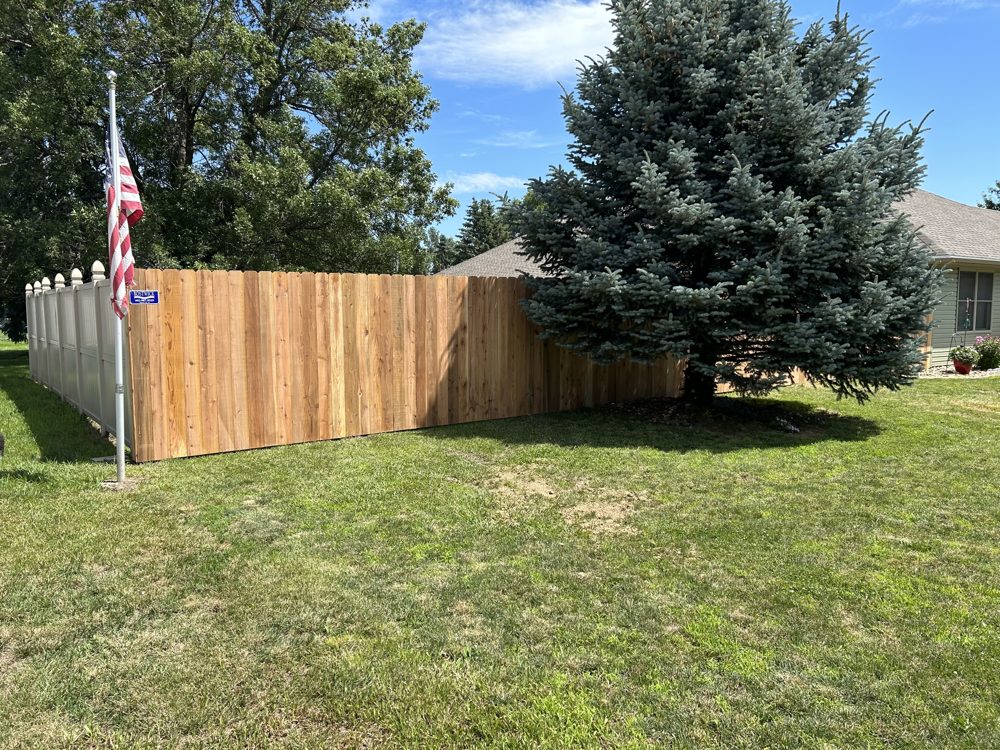 Black chain link fence installed around a yard